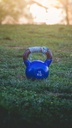 Kettlebells